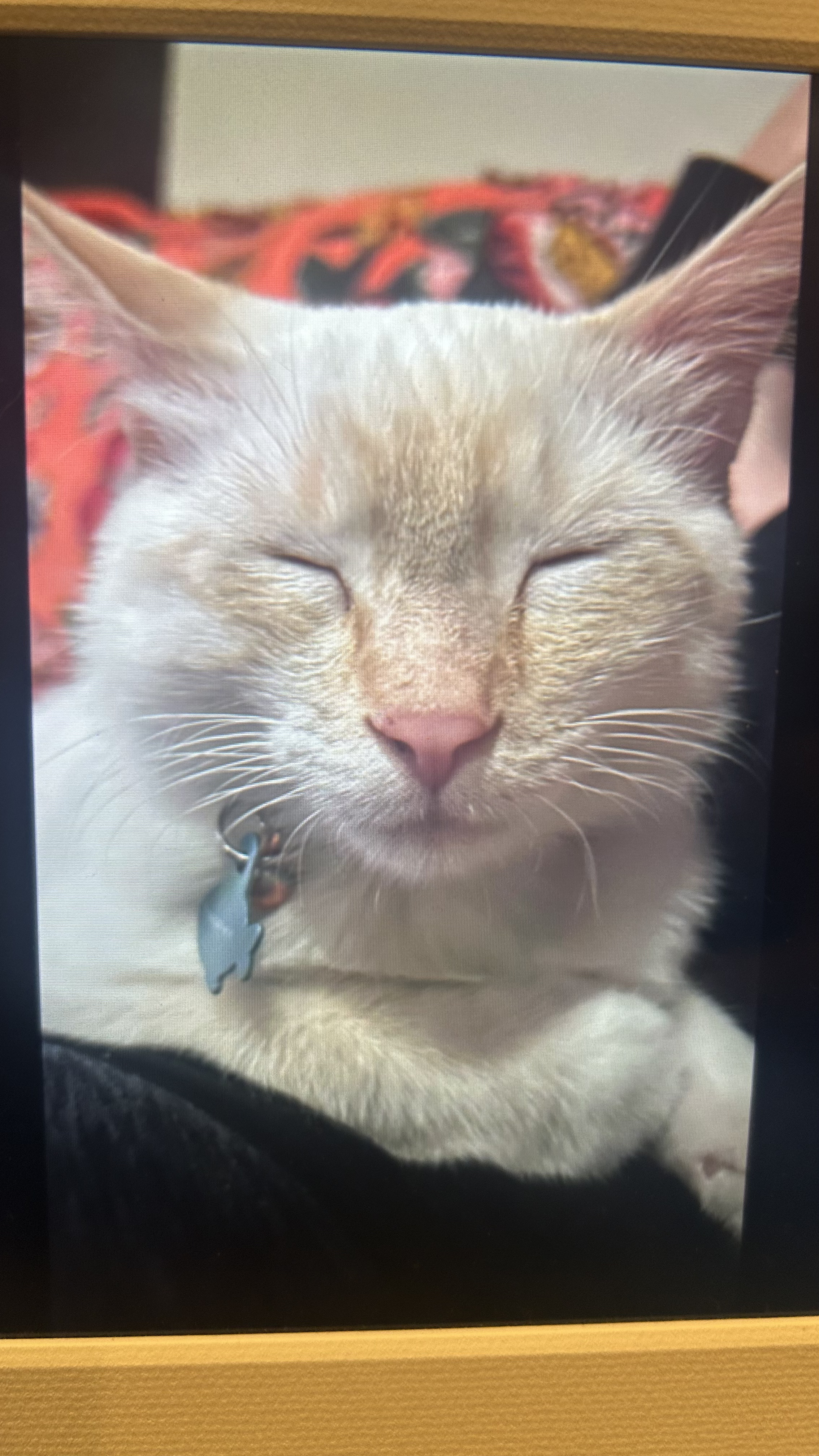 Drafty's Desk Drawer | Issue 5